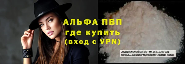 гашик Гусев