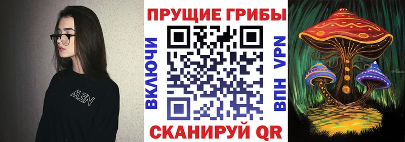 купить наркотики сайты  Кондрово  Галлюциногенные грибы Psilocybe 