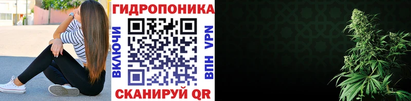 ссылка на мегу ссылки  Кондрово  дарк нет телеграм  как найти закладки  Канабис AK-47 